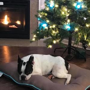 Meet your Posher, Lucinda